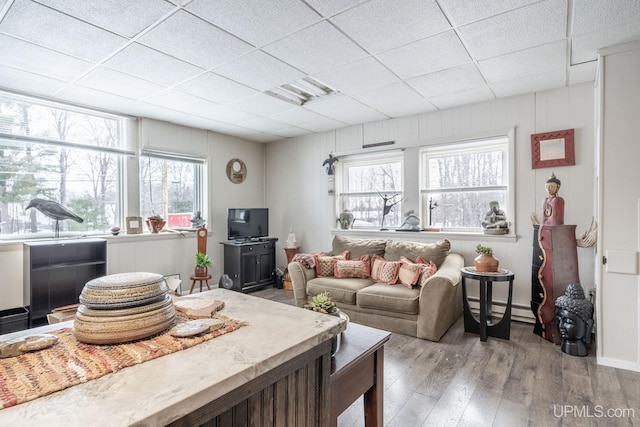 living room with baseboard heating, a drop ceiling, light hardwood / wood-style floors, and a wealth of natural light