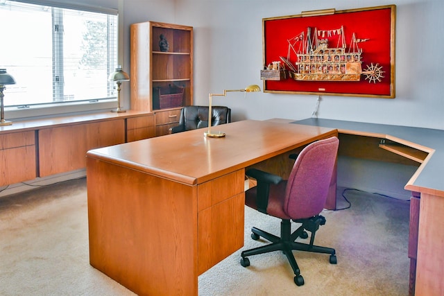 office featuring light colored carpet