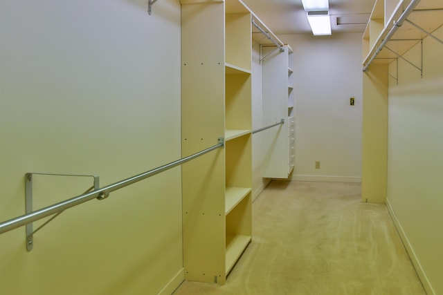 walk in closet featuring light colored carpet