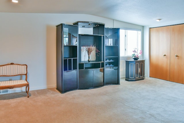 interior space featuring carpet, a closet, and lofted ceiling