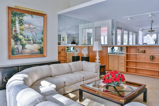 carpeted living room with rail lighting