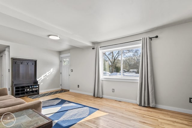 living room featuring light hardwood / wood-style flooring