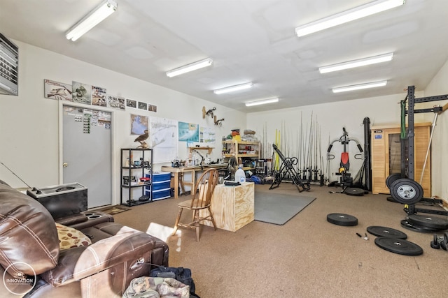 exercise area featuring a workshop area