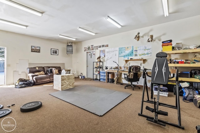 exercise room featuring a workshop area and carpet floors