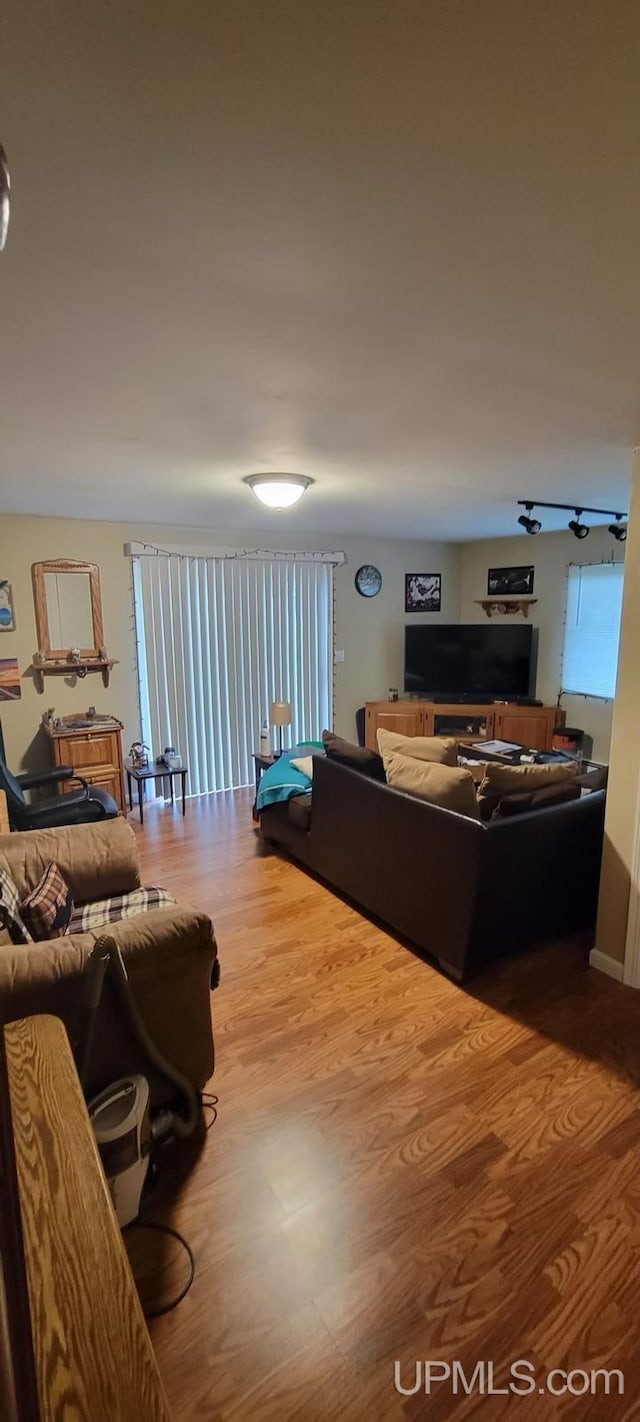 living room with wood-type flooring