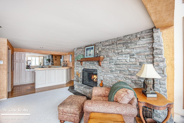 living area with a stone fireplace and light wood-style floors