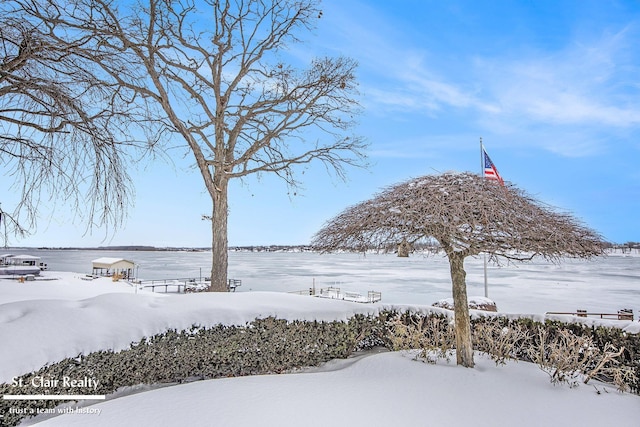 view of yard layered in snow