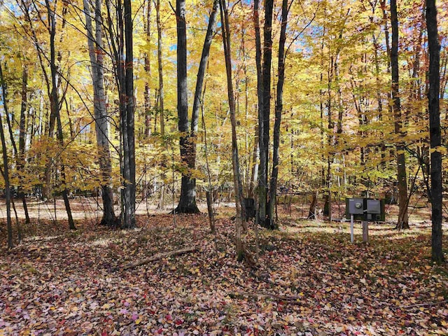 LOT960 Clover Ter, Farwell MI, 48622 land for sale