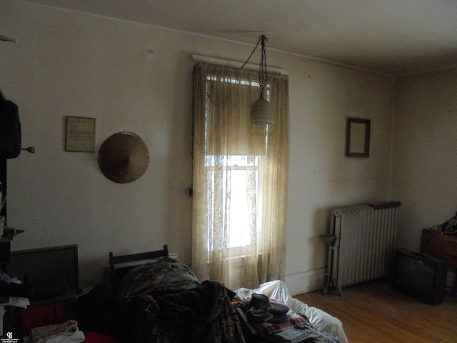 3606 Cadieux Rd, Detroit, MI 48224 - bedroom with wood finished floors and radiator