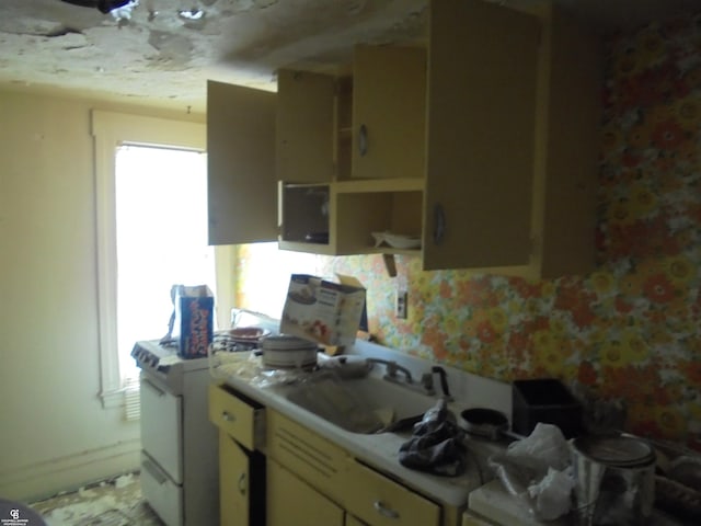 3606 Cadieux Rd, Detroit, MI 48224 - kitchen featuring light countertops, a sink, a wealth of natural light, and baseboards