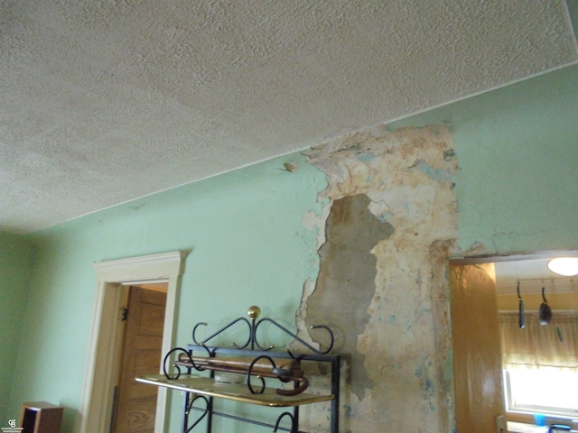 3606 Cadieux Rd, Detroit, MI 48224 - details with a textured ceiling