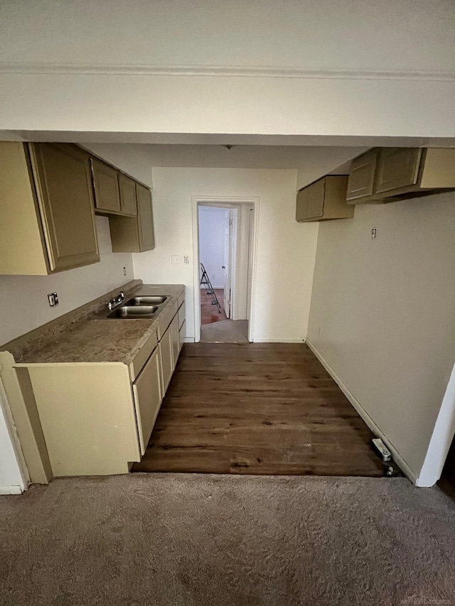 kitchen featuring dark wood-style floors, dark carpet, and a sink