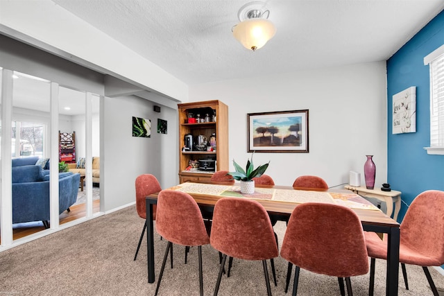 dining space with carpet floors, a healthy amount of sunlight, baseboards, and a textured ceiling