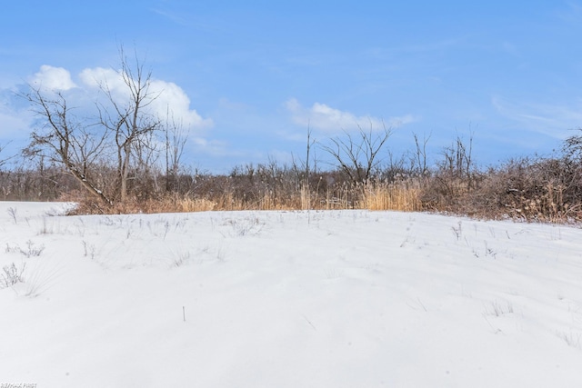 view of yard layered in snow