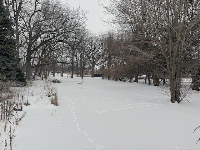 view of yard covered in snow