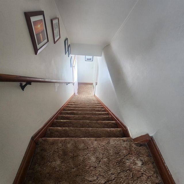 stairway featuring carpet and baseboards