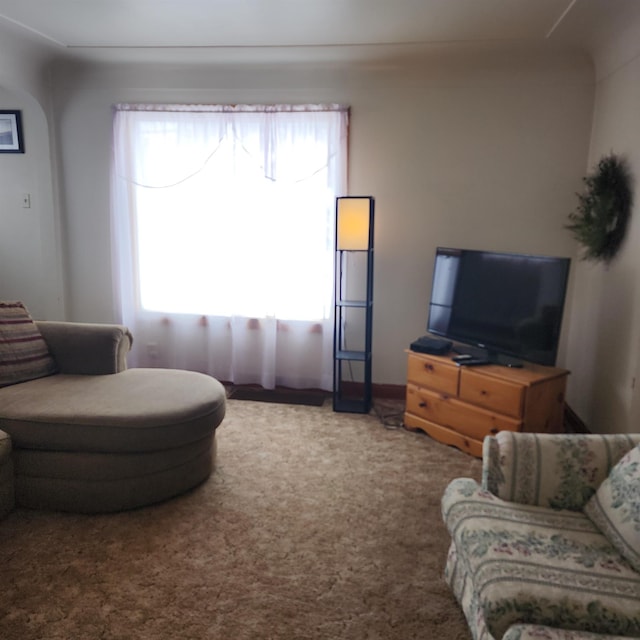 living area featuring plenty of natural light and carpet