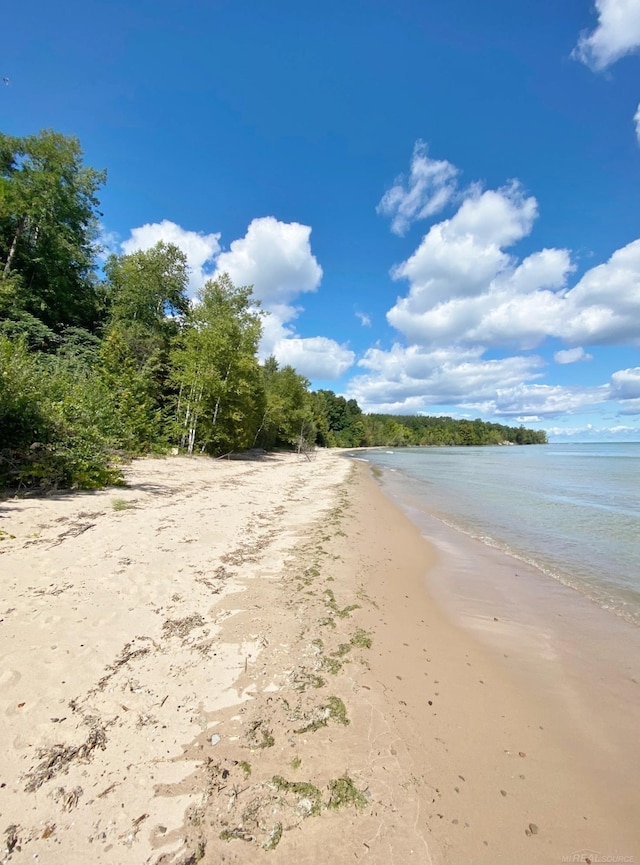 6248 N Lakeshore Rd, Palms MI, 48465 land for sale