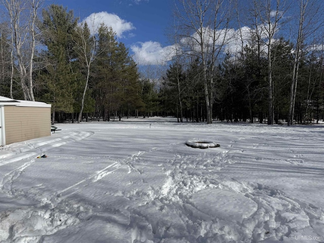 view of snowy yard