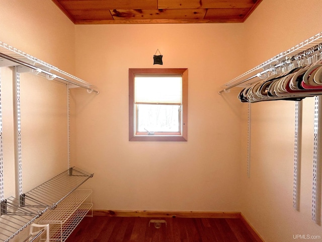 walk in closet featuring wood finished floors