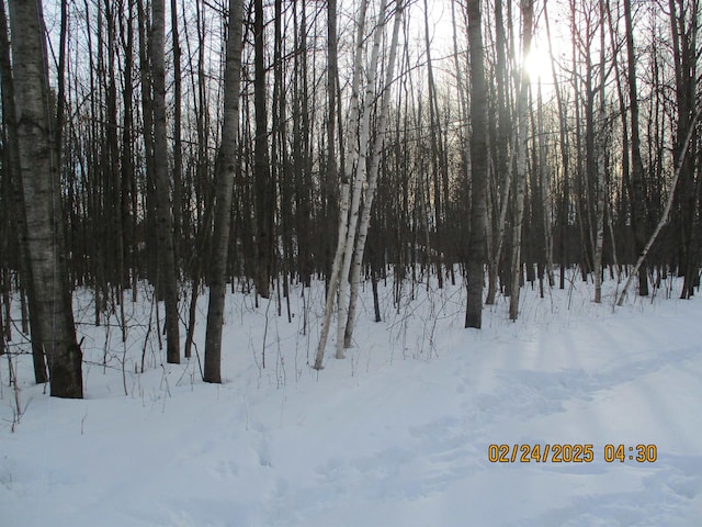 view of snowy landscape