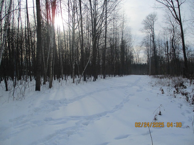 view of yard layered in snow