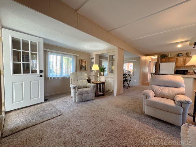 living room featuring light colored carpet