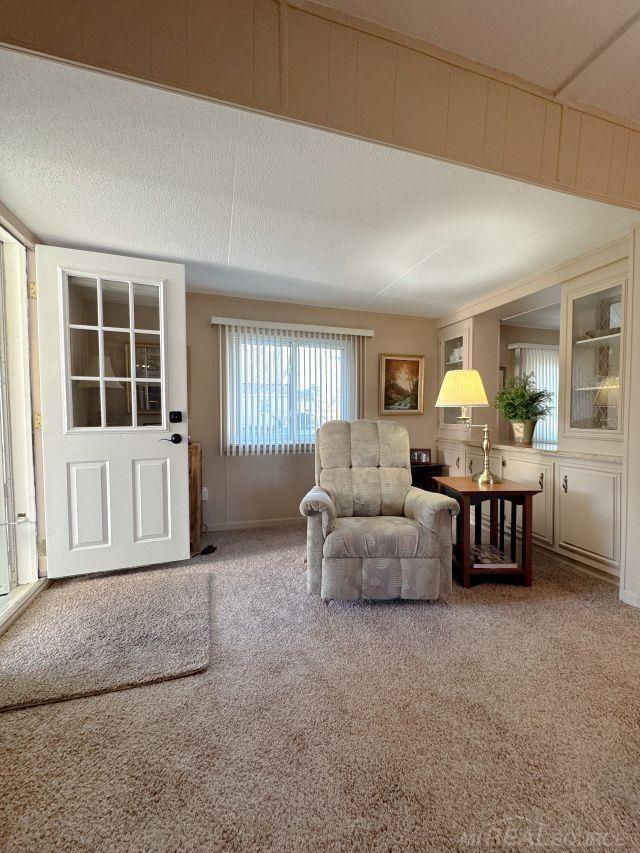 living room featuring carpet flooring and a textured ceiling