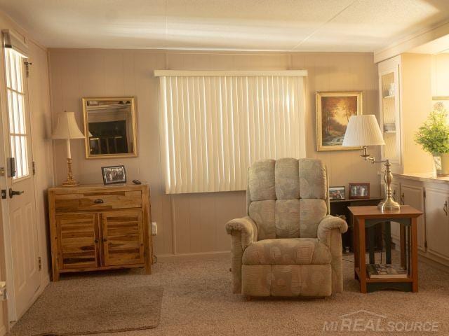 sitting room featuring carpet floors