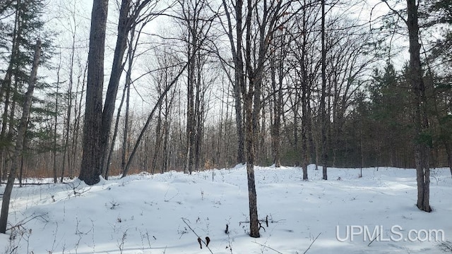 view of yard layered in snow