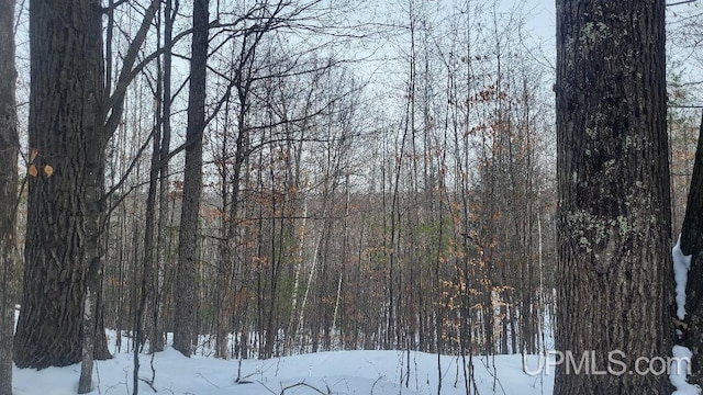 view of snowy landscape