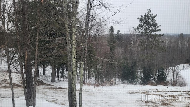 view of snowy landscape