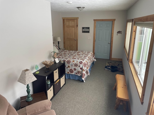 carpeted bedroom featuring multiple windows and a textured ceiling