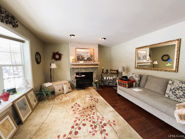 living area featuring a fireplace and wood finished floors