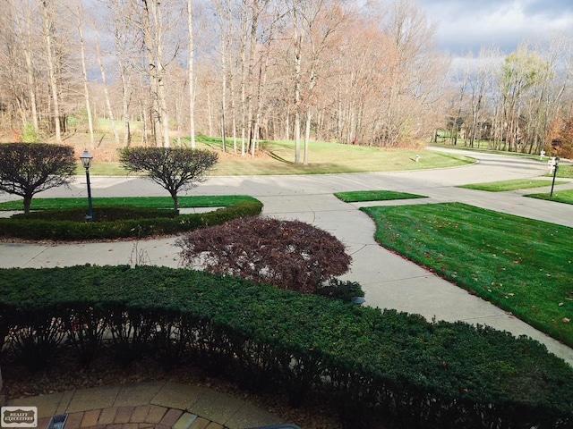 view of home's community with a lawn