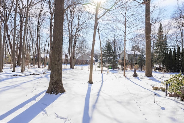 view of snowy yard