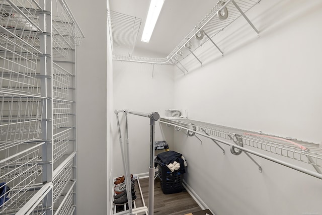 spacious closet featuring wood finished floors