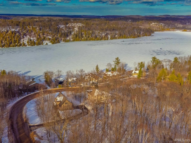 water view with a wooded view