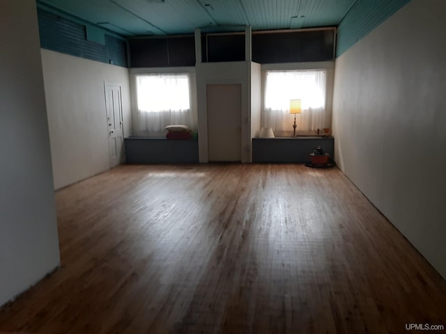 empty room featuring a healthy amount of sunlight and wood finished floors