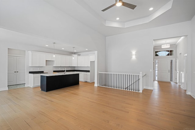 kitchen featuring light wood-style flooring, open floor plan, a sink, and a raised ceiling