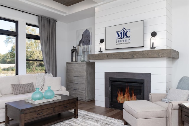 living area with a fireplace and wood finished floors