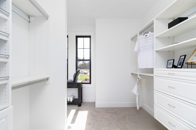 spacious closet featuring light carpet