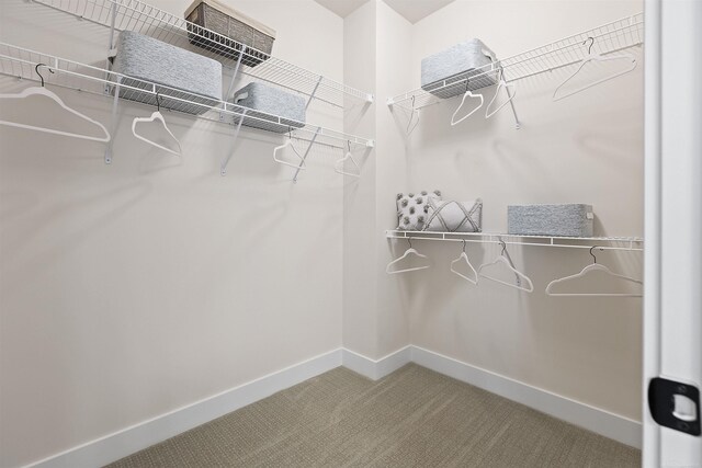 3888 Chatham Pl Unit 99, Brighton, MI 48114 - spacious closet with carpet