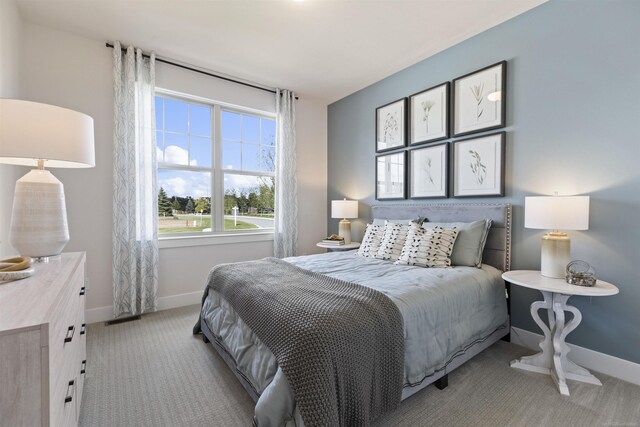 3888 Chatham Pl Unit 99, Brighton, MI 48114 - bedroom with baseboards and light colored carpet