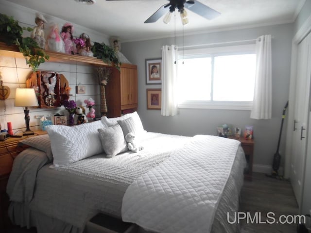 bedroom featuring ceiling fan, a closet, wood finished floors, and crown molding