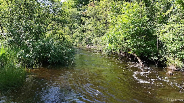 view of water feature with a forest view