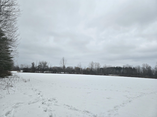 Listing photo 3 for 0 Cryderman Rd, Richmond Twp MI 48062