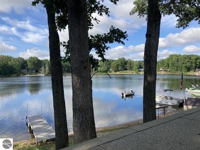 water view featuring a dock