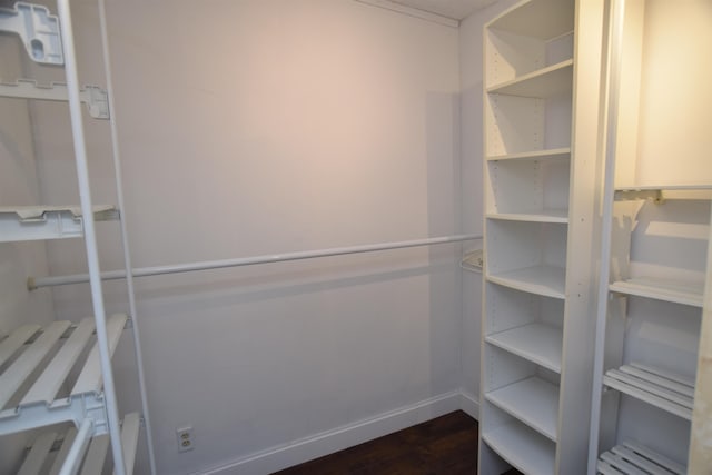 walk in closet featuring dark wood finished floors