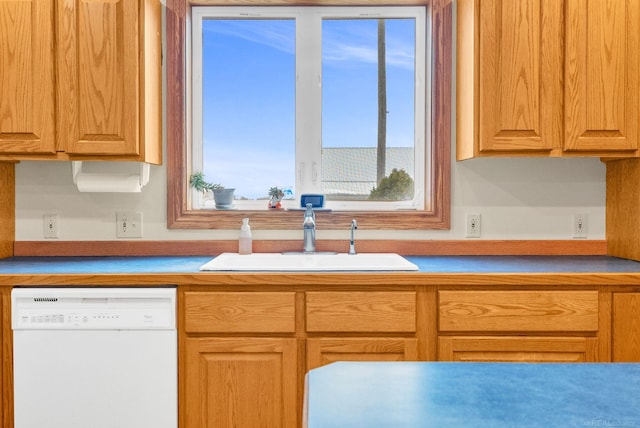 kitchen with dishwasher and a sink